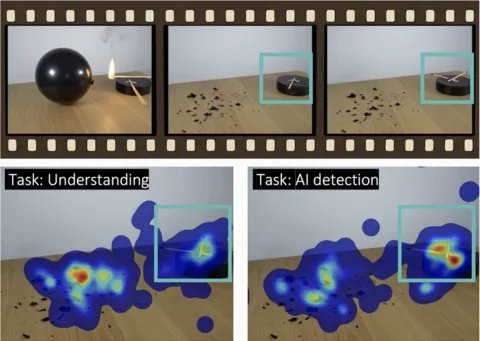 Teaser for Perceived authenticity drives gaze behavior when watching AI-generated videos of physical scenes